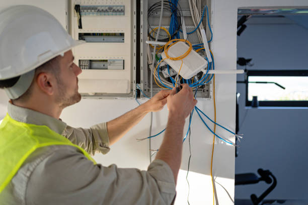 Best Electric Panel Repair  in Whetstone, AZ